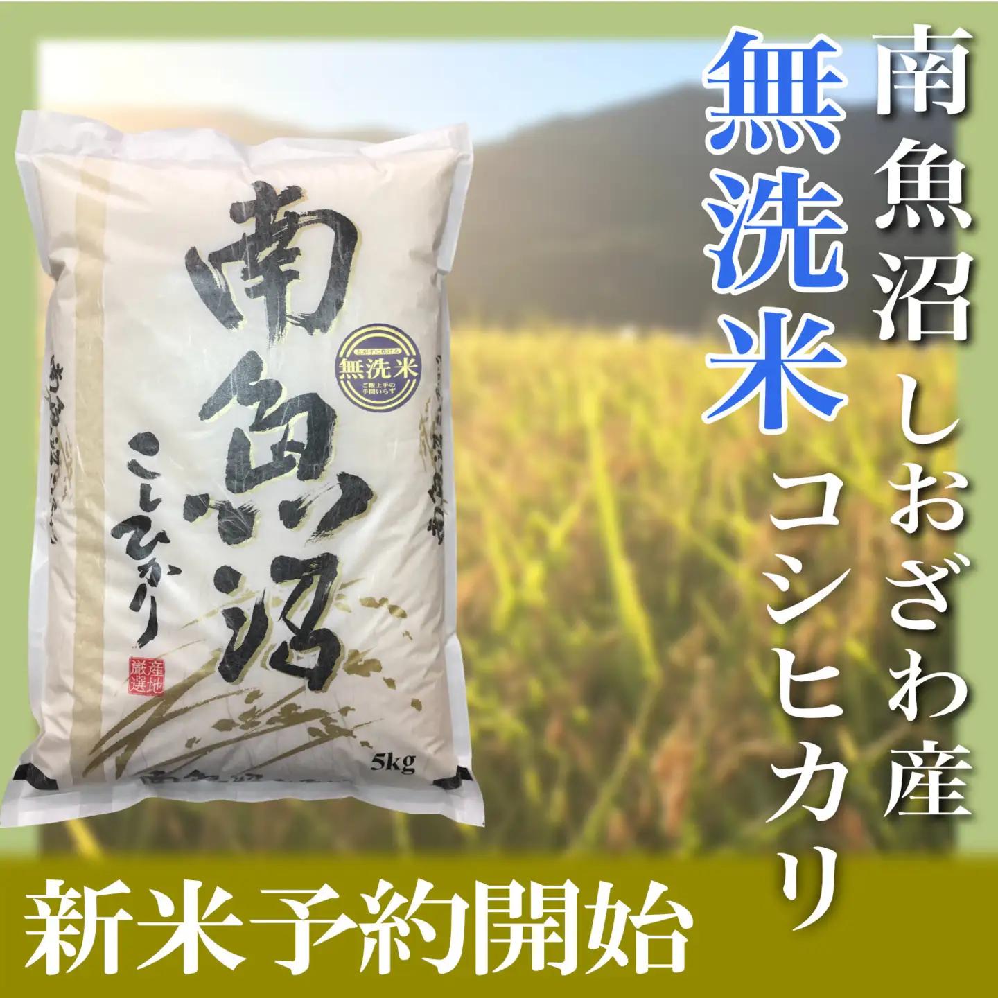 【令和8年　新米予約】定期便６ヶ月【無洗米】2kg南魚沼しおざわ産コシヒカリ｜無洗米