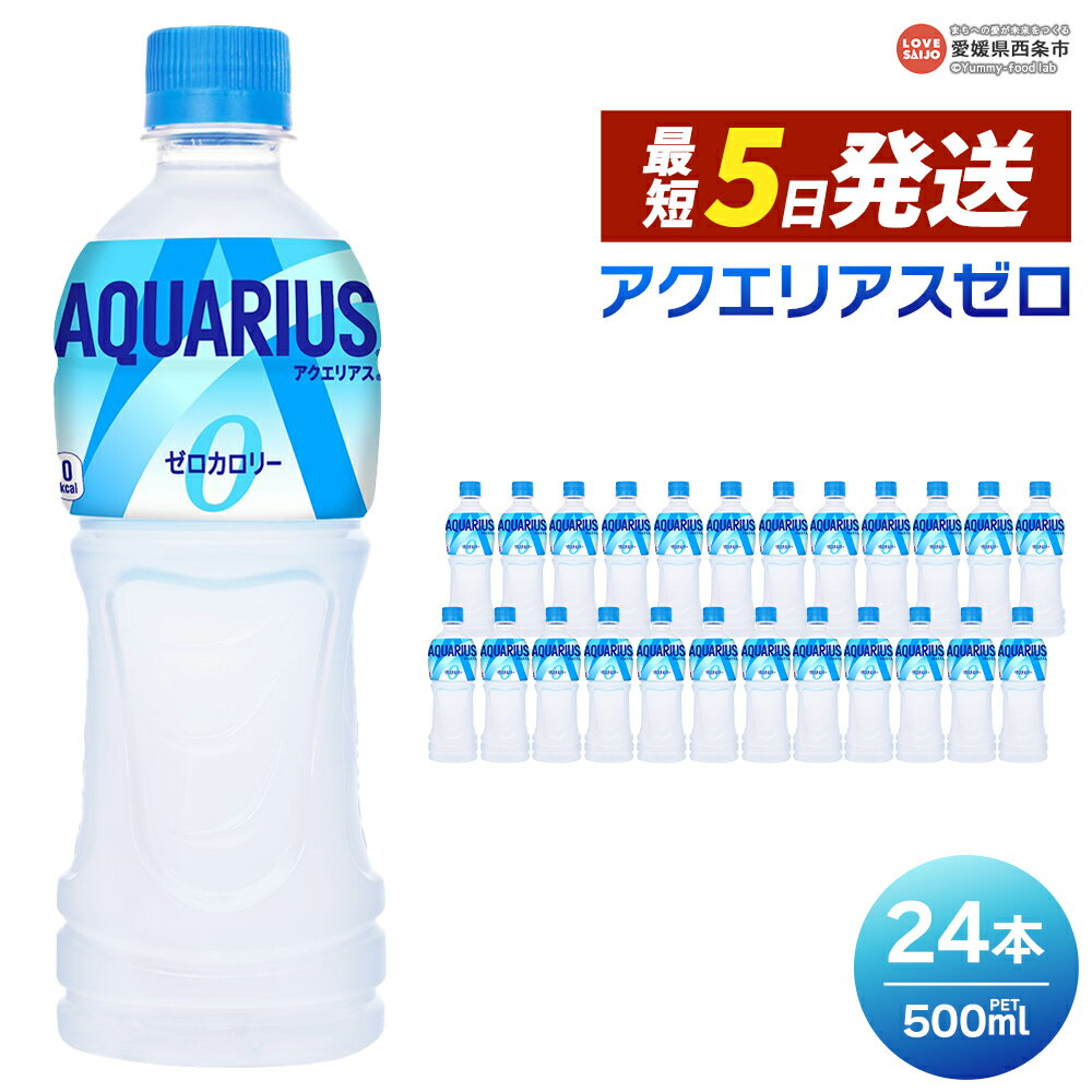 【ふるさと納税】＜アクエリアス ゼロ 500ml×24本＞※最短5営業日で出荷 スピード発送 選べる 配送回数 1回 2回 3回 定期便 単品 コカ・コーラ ペットボトル PET スポーツドリンク スポドリ 水分補給 熱中症対策 夏バテ 清涼飲料水 ソフトドリンク 愛媛県 西条市【常温】