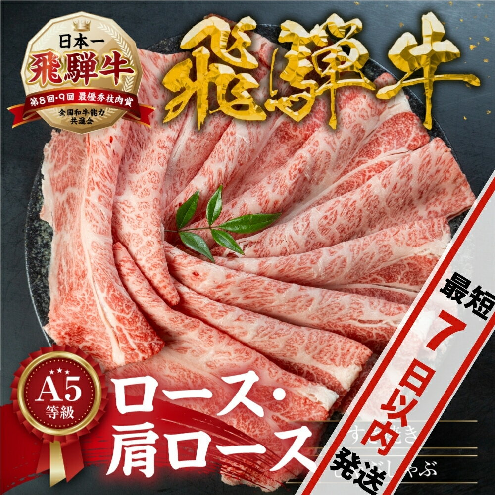 【ふるさと納税】[A5等級] 飛騨牛 すき焼き 肩ロース ロース しゃぶしゃぶ 用 《 1kg 600g 500g 300g 》『 ロース ・ 肩ロース 肉』牛肉 肉 和牛 黒毛和牛 国産牛 a5 霜降り 小分け すきやき トキノ屋食品 本巣市 日付指定 着日指定 [mt1722]