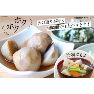 ふるさと納税 日向市 【期間限定】里芋(赤芽) 約2kg |  | 01