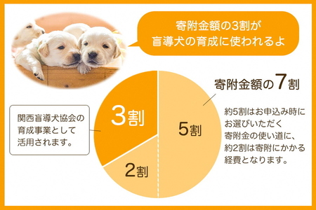 【返礼品相当額で盲導犬の育成を支援】支援額600円（記念品なし）寄附のみ 返礼品なし 盲導犬