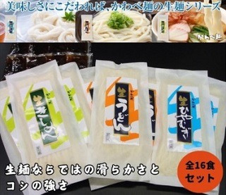 かわべ麺 生麺・麺つゆ詰合せ 8袋 合計約2.2kg（生うどん3袋・生きしめん3袋・生ひやむぎ2袋・麺つゆ30ml×8） | 食べ比べ 詰め合わせ セット コシ のどごし 滑らか お取り寄せ ギフト お中元 お歳暮 きし麺 冷麦 冷や麦 麺 麺類 冷蔵 愛知県 春日井市