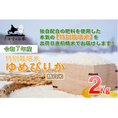 ふるさと納税 鷹栖町 【令和7年産】たかすのお米「特別栽培米 ゆめぴりか」お試しサイズ 2kg(精白米)