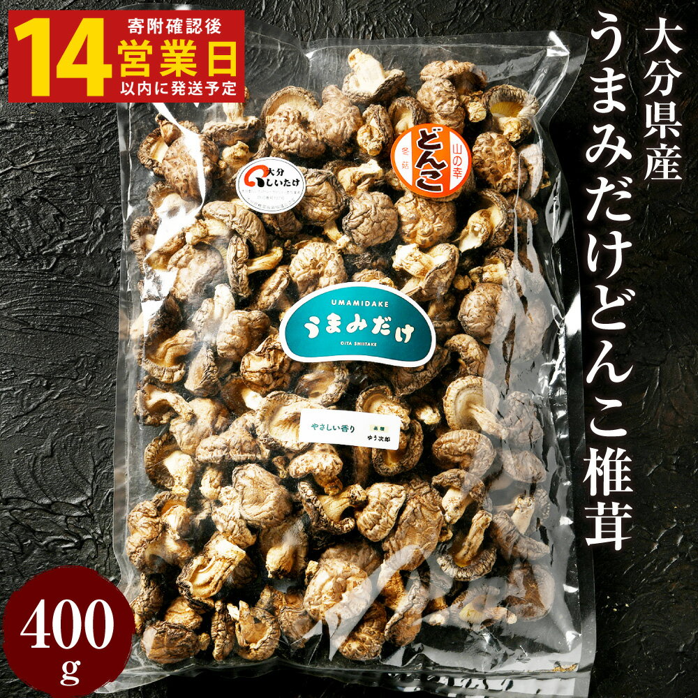 【ふるさと納税】【入金確認後14日以内に発送】 山盛り うまみだけ どんこ 椎茸 400g しいたけ 煮物 中華料理 鉄板焼 国産 九州 大分県 送料無料