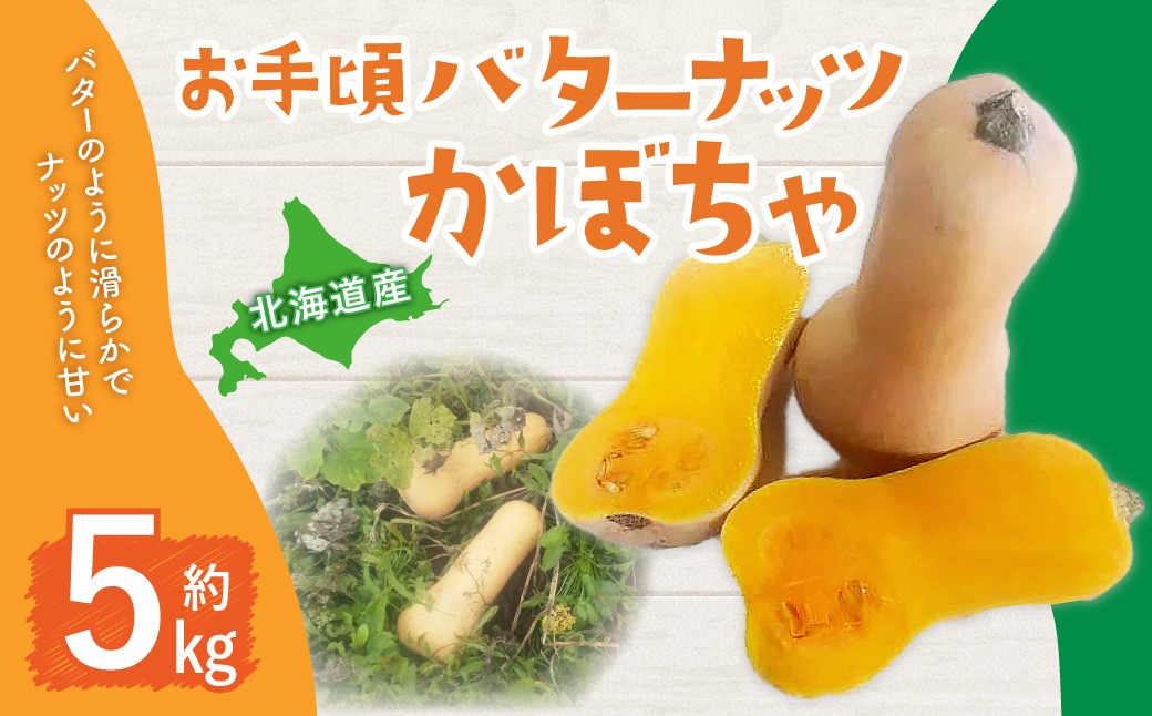 
            北海道産 お手頃バターナッツ かぼちゃ 約5kg【2026年1月上旬頃までに発送予定】 カボチャ 南瓜 野菜 北海道 
          