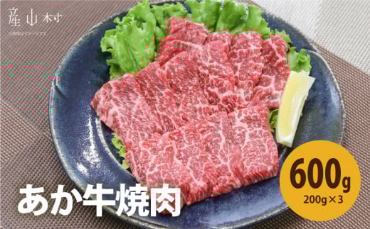 熊本県産　あか牛　焼肉600g UBUYAMAPLACE《30日以内に出荷予定(土日祝除く)》