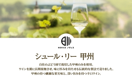 白ワイン NOVICEノヴィス シュール・リー 甲州 720ml×6本 フルボトル 辛口 日川中央葡萄酒 山梨県 笛吹市 177-7-29