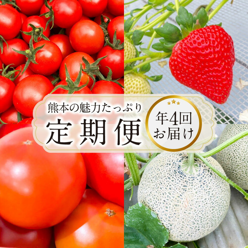 【ふるさと納税】【年4回定期便】熊本の魅力たっぷり 定期便 ミニトマト トマト 大玉トマト メロン いちご イチゴ 苺 大粒 熊本県産 フルーツ 野菜 果物 熊本産 九州 熊本県 送料無料 【2026年2月上旬発送開始】