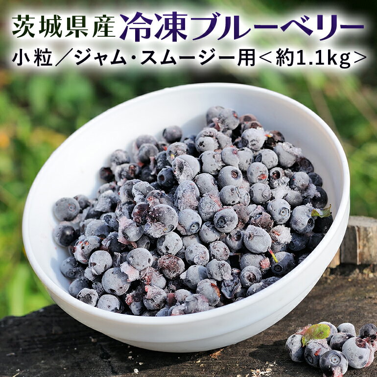 【ふるさと納税】冷凍ブルーベリー 小粒 1.1kg 茨城県産 国産 無農薬 特別栽培 有機肥料 安心安全 冷凍 ブルーベリー ジャム スムージー フルーツ 果物 くだもの ケーキ作り お菓子 スイーツ 贈り物 贈答用 内祝い ギフト 小分け 人気 プレゼント 健康 美容 食物繊維 9-S