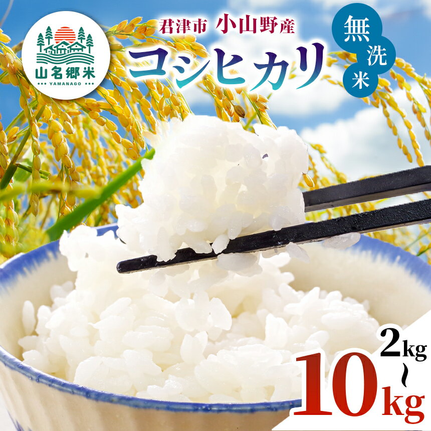 【ふるさと納税】★ レビューキャンペーン ★ 【 先行予約 】 8月下旬から順次発送 無洗米 令和7年産 君津市 コシヒカリ 新米 選べる容量 2kg 3kg 5kg 10kg | あかかげ農園 山名郷米 千葉稲作 しんまい こしひかり むせんまい 米 こめ お米 イチオシ 千葉県産 きみつ