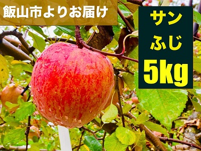 【先行予約】サンふじ【約5kg（11-20個】(N-1.5)