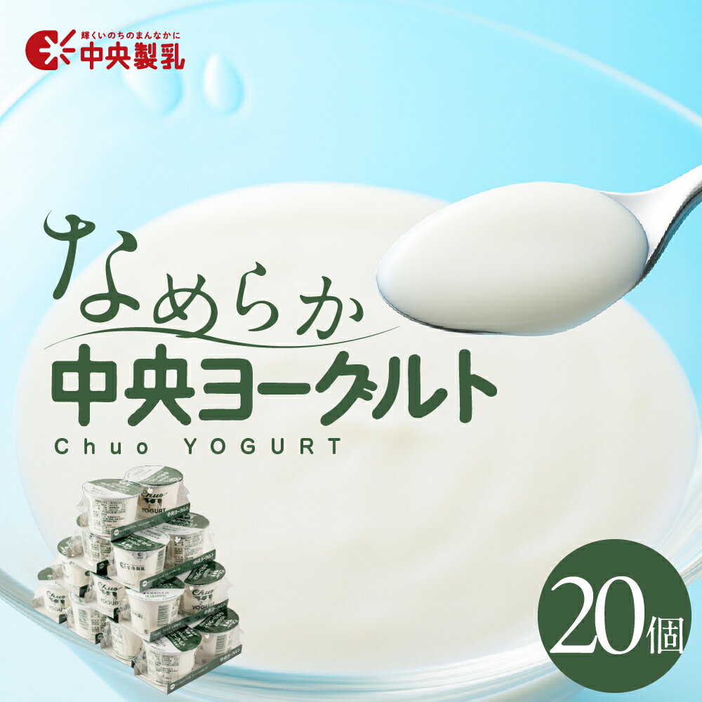 【ふるさと納税】 中央製乳 中央ヨーグルト2p 選べる 6個 10個 20個 セット こだわり なめらか おやつ デザート 乳製品 乳酸菌 健康 腸活 ロングセラー 愛知県 豊橋市