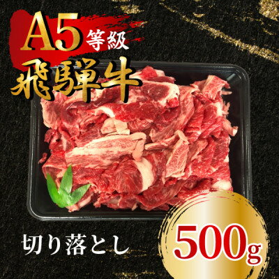 【ふるさと納税】飛騨牛5等級 切り落とし500g　FTA195【配送不可地域：離島】【1578212】