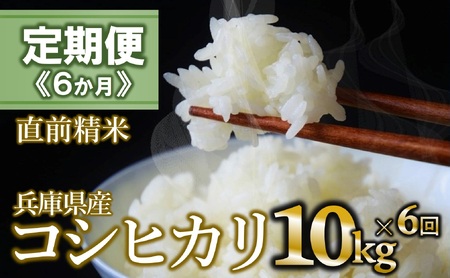 【定期便/６回】コシヒカリ 白米10kg ×6か月連続お届け