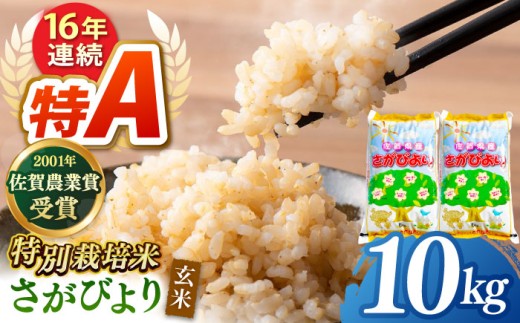 【特別栽培米】令和7年産 ももちゃんちのお米 さがびより 玄米 10kg【ももさき農産】 [HCG005]