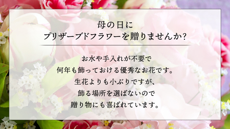 【 母の日 】花色 おまかせ プリザーブド フラワー S ギフト プレゼント 花 お祝い 贈答 記念日 [CT072ci01]