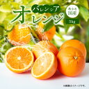 希少な 国産 バレンシアオレンジ 5kg 秀品【国産オレンジ オレンジ 柑橘 フルーツ 和歌山 有田】