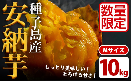 n046 ＜先行予約受付中！2026年10月中旬頃より順次発送予定＞数量限定！種子島産 安納芋(Mサイズ・10kg) 国産 安納芋 紅 種子島 芋 イモ いも さつまいも さつま芋 安納いも セット 詰め合わせ スイーツ 野菜 【JA種子屋久】