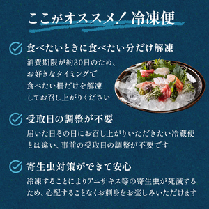 【偶数月 全3回 定期便】氷見漁港で競り落としたお刺身詰め合わせセット 〈冷凍〉　|   刺身セット 鮮魚 詰め合わせ 富山湾 海の幸 魚介類 お魚 刺し身 さしみ 氷見漁港 柵 冷凍 瞬間凍結  隔