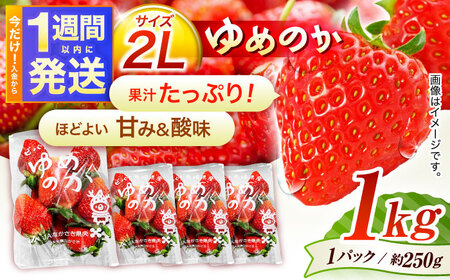 【1週間以内発送/限定数量】【贈答用でも使える】長崎いちご「ゆめのか」2Lサイズ 約250g×4パック 合計1000g /苺 イチゴ  いちご フルーツ いちご デザート ジューシー ギフト  いちご 贈り物 いちご 1kg 4P 九州 九州 九州 /諫早市/長崎県央農業協同組合Aコープ本部[AHAA033]