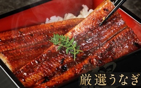 【国産】うなぎ 蒲焼き 3尾【 うなぎ うなぎ うなぎ うなぎ うなぎ うなぎ】