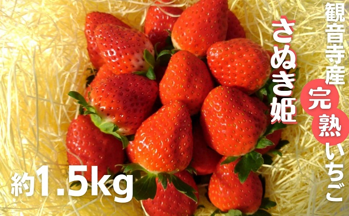 
数量限定　苺狩りの食味をお届け！観音寺産完熟いちご（さぬき姫）約1.5kg
