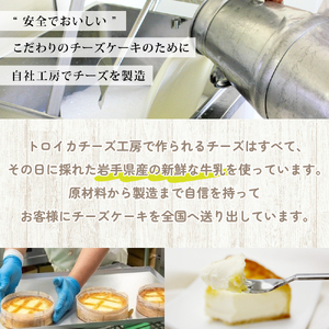トロイカ チーズケーキ カットケーキ12切れ G0220 スイーツ