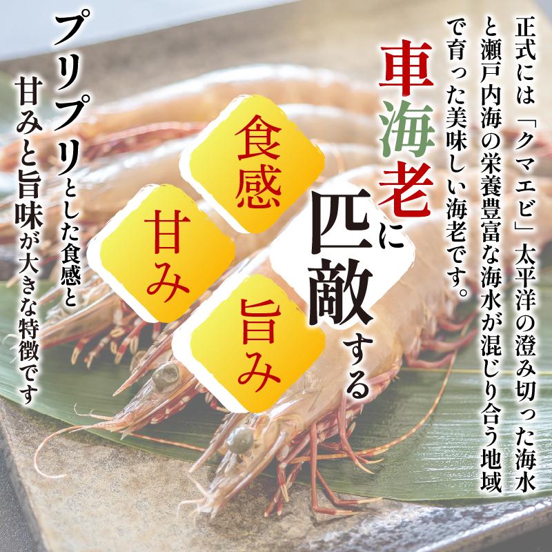 えび 足赤海老 500g 海老 天然 えび あしあかえび 冷凍 鮮度そのまま 海老 刺身 甘い エビフライ 塩焼き 殻付き プリプリ ebi エビ 天然えび 徳島