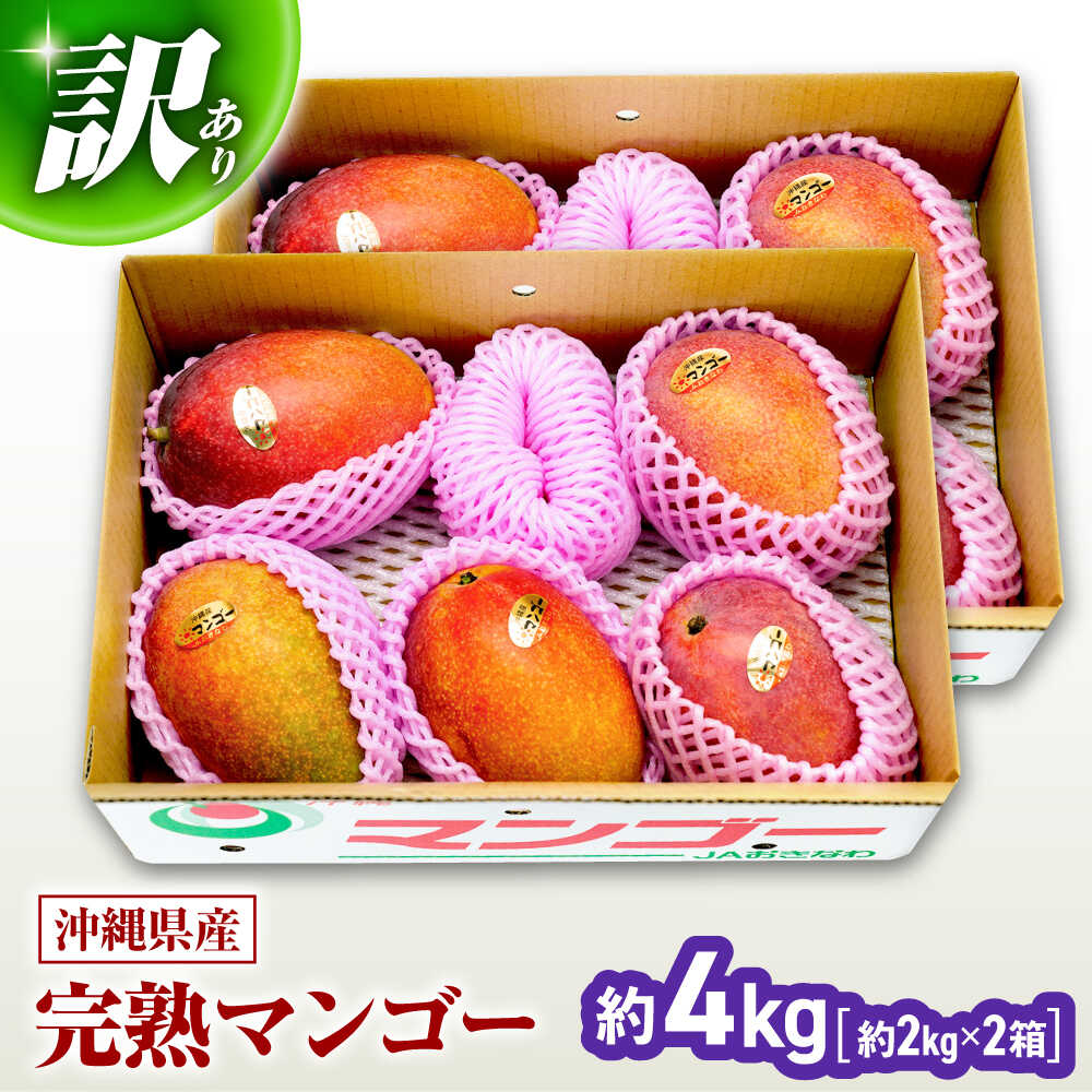 【ふるさと納税】【先行予約 2026年発送 予約受付】 訳あり 完熟マンゴー 約4kg マンゴー 沖縄 果物 フルーツ ギフト 沖縄市 / ちゃんぷる〜市場 [BCAA007]
