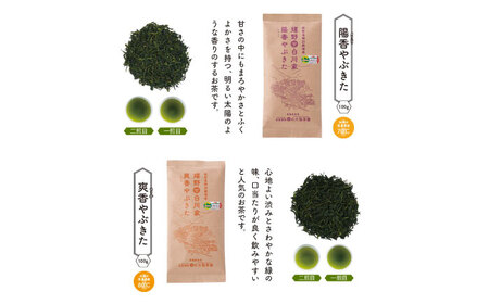 白川家やぶきた5種類詰合せセット 計500g / お茶 日本茶 嬉野茶 緑茶 / 佐賀県 / 白川製茶園 [41AIAB002]