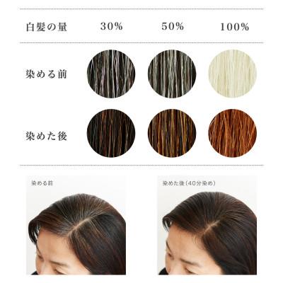 ふるさと納税 瑞穂町 自然素材100%、髪にも肌にも優しい白髪染め ナイアード「ヘナ+木藍 茶」 (400g) |  | 01