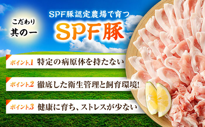 五島美豚薄切り1kg（ロース500g/バラ500g） 五島市/ごとう農業協同組合[PAF004]  しゃぶしゃぶ 冷凍 豚肉 ブランド豚 国産豚 九州 豚 ぶた 肉冷凍 国産豚 豚肉 ブランド豚