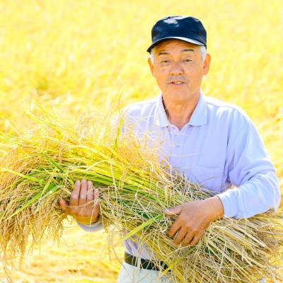 ふるさと納税 関川村 秘境の地で生産 砂金米 こがねもち精米2kg |  | 02