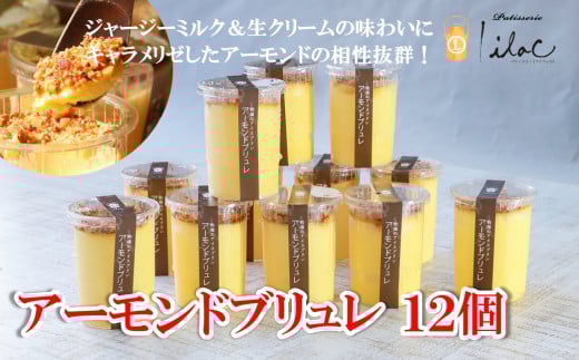 ジャージーミルクたっぷり アーモンドブリュレ12個 ジャージー牧場 らいらっく 自家牧場 ジャージー牛 牛乳 ミルク アーモンド ブリュレ アイス プリン 無添加 手作り 濃厚  冷凍  AS2BI7