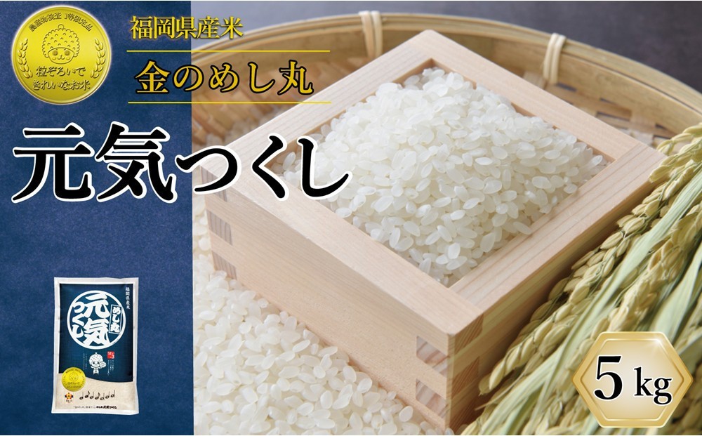
                  令和8年米 福岡県産 米 金のめし丸元気つくし 5kg ( 1袋 )
                