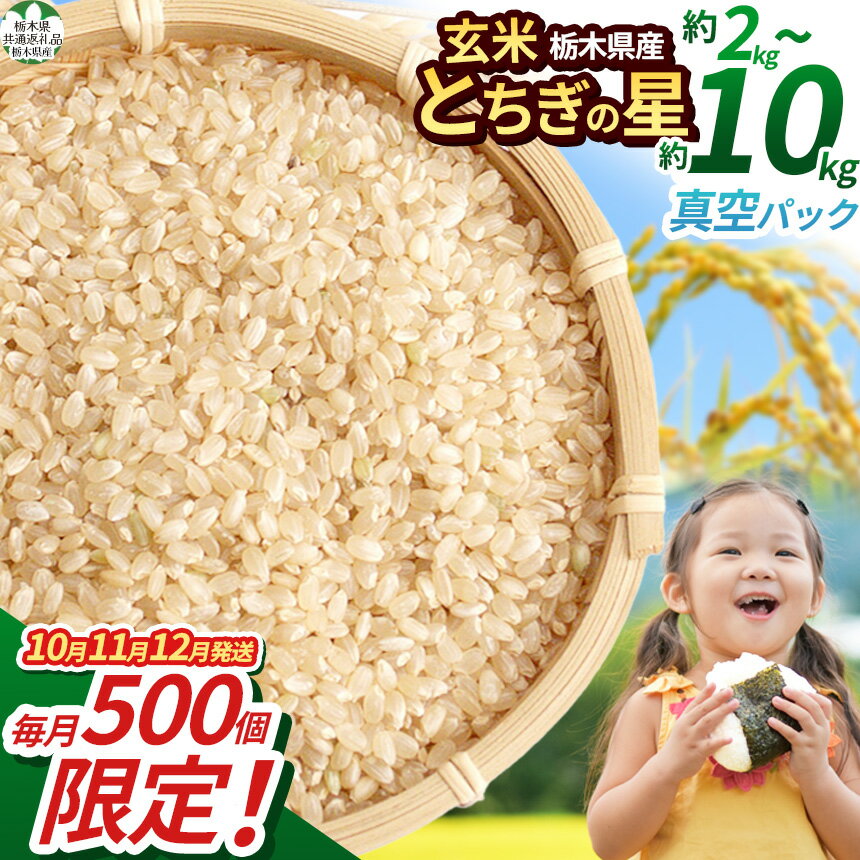【ふるさと納税】 【栃木県共通返礼品】【先行予約】玄米 米 こめ コメ ごはん 令和8年度 数量限定 栃木県産とちぎの星 2kg 4kg 10kg（玄米真空パック）| kome okome お米 こめ 米 ご飯 玄米 新米 数量限定 米 コメ お米 米 便利 真空 保管 栃木県 那珂川町 送料無料