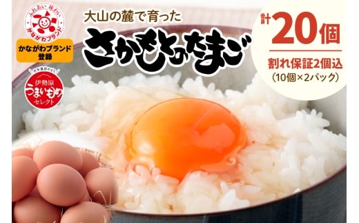 坂本養鶏 大山の麓で育った さかもとのたまご 20個 (18個＋割れ保証2個)｜伊勢原市 赤玉卵 玉子 鶏卵 生卵 国産 TKG タマゴ 新鮮 大山 鶏 ギフト 安心 安全 親子丼 卵焼き 目玉焼き お菓子 [0384]