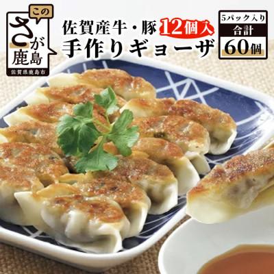 ふるさと納税 鹿島市 佐賀産牛・佐賀産豚の手作りギョーザ　12ケ入×5パック(合計60個)