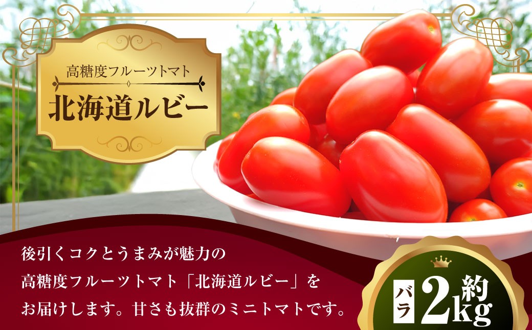 
            ミニトマト「北海道ルビー」約2kg バラ 野菜 高糖度 北海道 浦臼町 【2025年11月下旬迄発送】
          