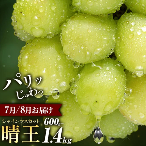 ぶどう シャインマスカット 晴王 600g 700g 1.2kg 1.4kg 1房 2房 彩美菜果《7月上旬-9月中旬頃出荷》 マスカット 送料無料 岡山県 浅口市 フルーツ 果物 贈り物 国産 岡山県産 くだもの 果物 青果物 7月～8月発送 【配送不可地域あり】