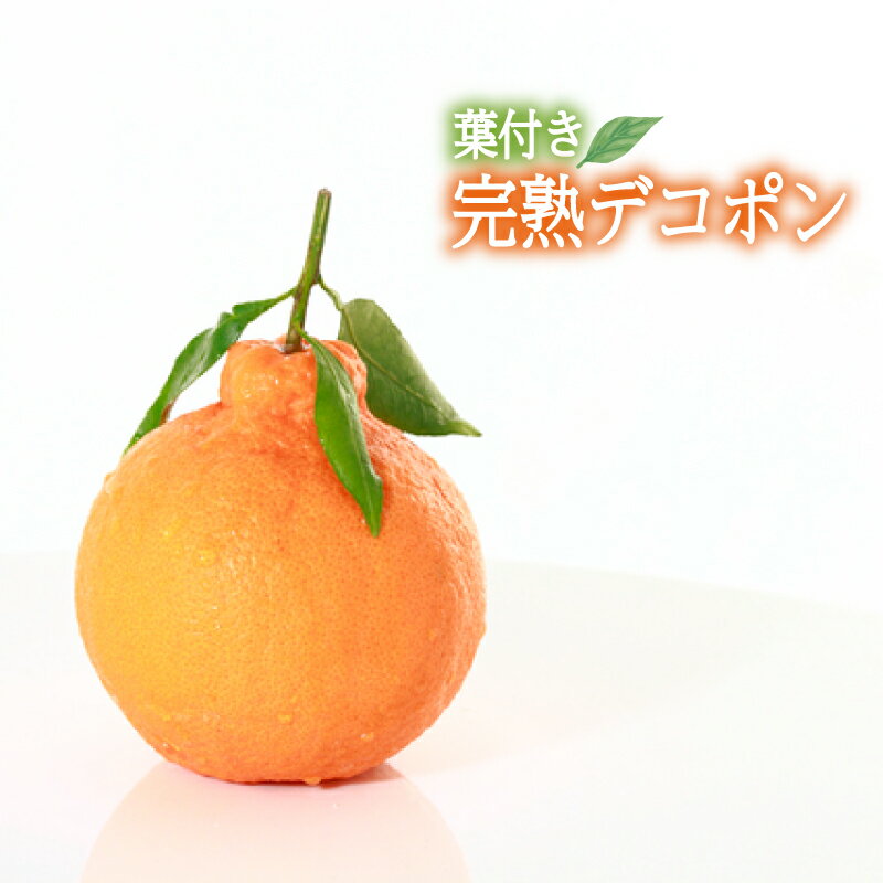【ふるさと納税】 【2026年3月中旬頃から発送】〈JAえひめ中央〉葉つき完熟デコポン 約5Kg L20玉 | デコポン 不知火 みかん ミカン 蜜柑 果物 くだもの フルーツ 高級 贈答 ギフト 贈り物 柑橘 柑橘類 かんきつ 常温 国産 愛媛 愛媛県 松山市 伊予鉄高島屋