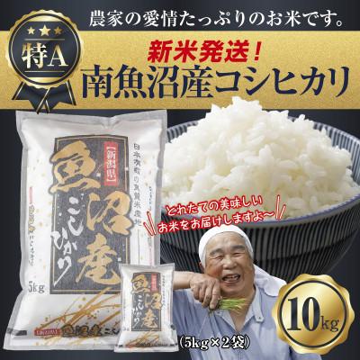 ふるさと納税 南魚沼市 令和7年産 新潟県 南魚沼産 コシヒカリ 10kg (美味しいお米の炊き方ガイド付き)