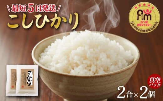 【最短5日発送！】 新潟県産 こしひかり お試し 2合×2個 真空パック 令和7年度産 米 おこめ お米 白米 こめ ライス rice kome ごはん ご飯 コメ ブランド米 精米 人気 おすすめ 0.6キロ R7 0.6kg 小分け 国産 令和7年産 | 新発田市 / 三糧米穀 [sanryo017]