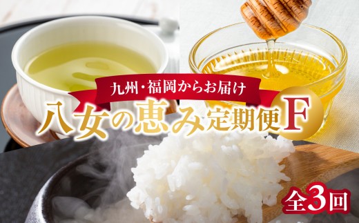 
九州・福岡からお届け！八女の恵み定期便【全３回】 F
