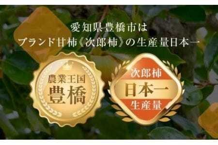 ≪先行予約≫  コリっと硬くて 甘い 豊橋 石巻産 次郎柿 （秀品 大玉）５kg 柿（15～20玉）　10月 11月