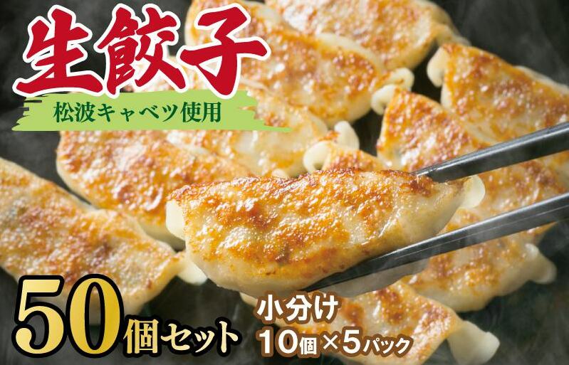 【期間限定】生餃子 50個セット【小分け 10パック 甘いと評判 松波キャベツ使用 冷凍餃子 焼くだけ 人気 惣菜】 010B1538