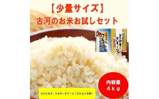 
										
										【新米】古河のお米お試しセット（コシヒカリ・ミルキークイーン各2kg） 米 こめ コメ 4キロ 精米 食べ比べ 食べくらべ こしひかり コシヒカリ ミルキークイーン みるきーくいーん 古河市産 茨城県産 贈答 贈り物 プレゼント 茨城県 古河市 直送 農家直送 産地直送 送料無料 _DP13
									