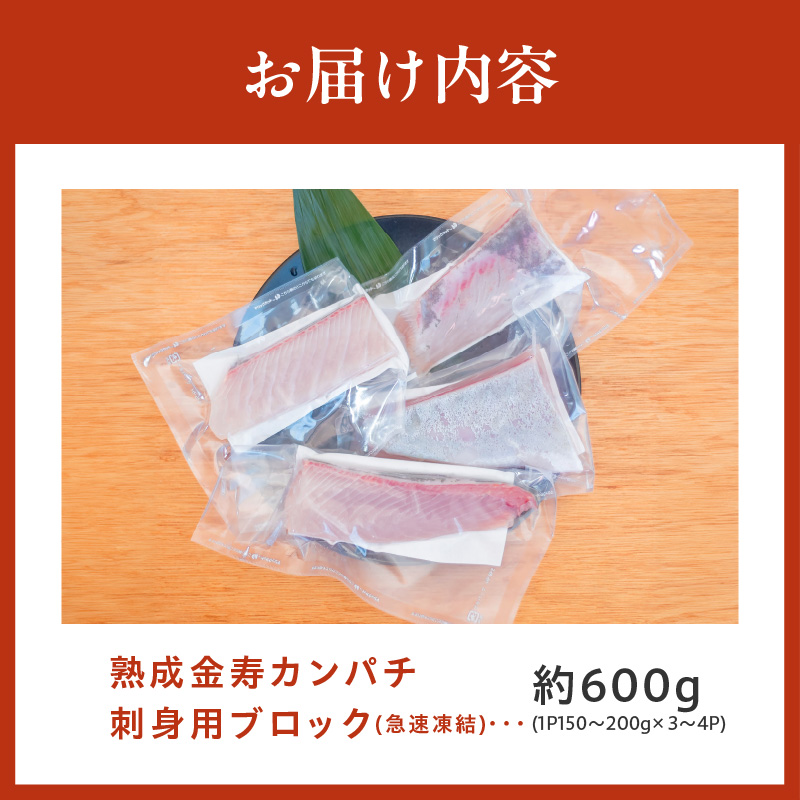 熟成金寿カンパチ刺身用ブロック約600ｇ（急速凍結）　N015-YA591_イメージ5