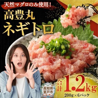ふるさと納税 室戸市 ネギトロ(まぐろのたたき)1.2kg 訳あり小分けセット ネギトロ丼などアレンジさまざま 冷凍