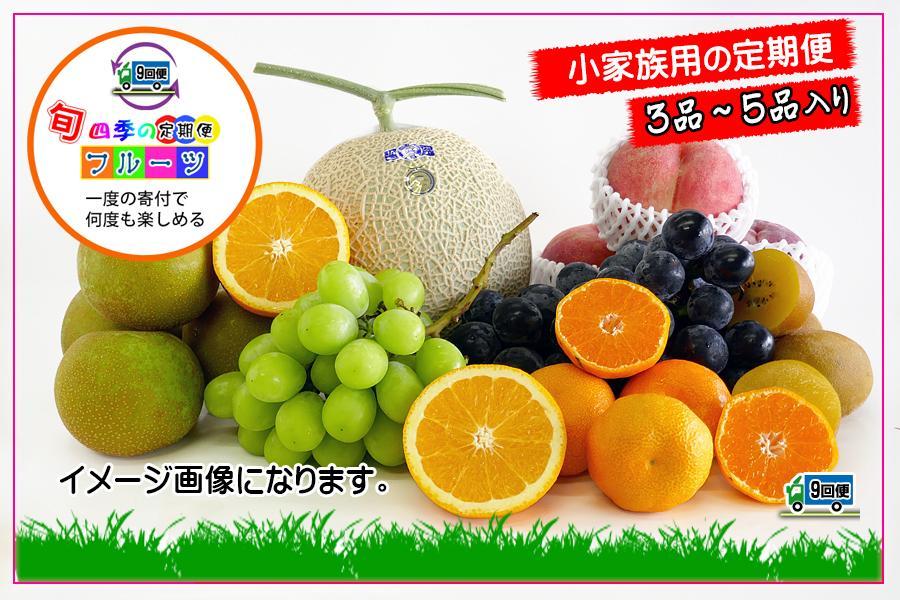 ★頒布会のためAY1228へ★【定期便9回Sサイズ】創業100年 産直あきんど四季のフルーツの定期便《9ヶ月連続でお届け》